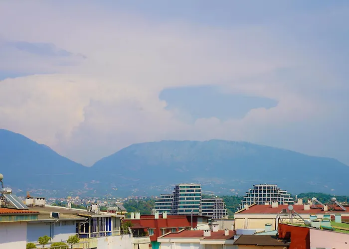 Haris Tirana